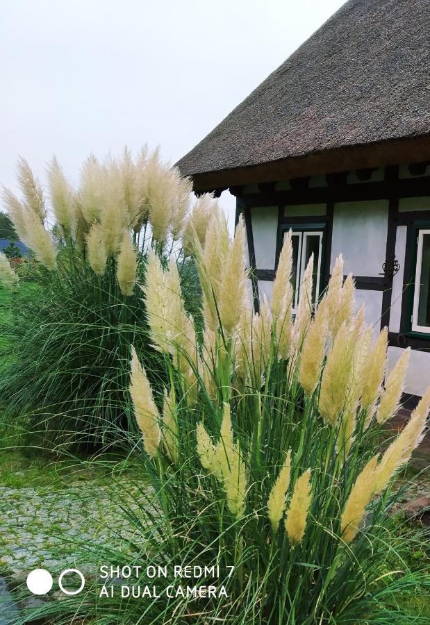 Podroze Checz Villa Charbrowo Exterior photo
